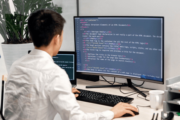 lập trình viên viên
